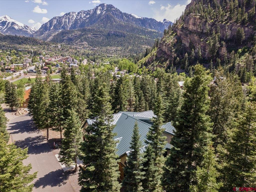112 Ouray Vista Lane