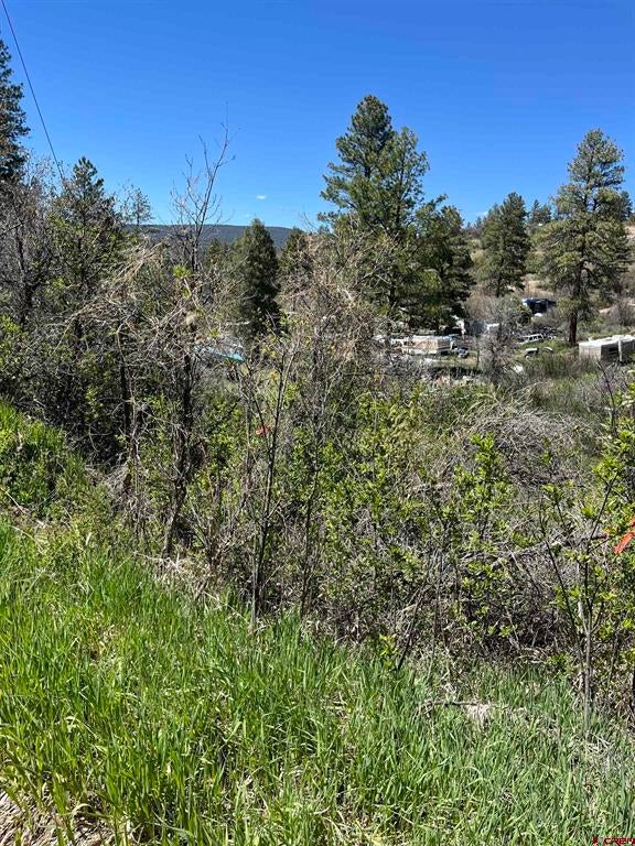 222 Pineridge Tr. - Photo 2
