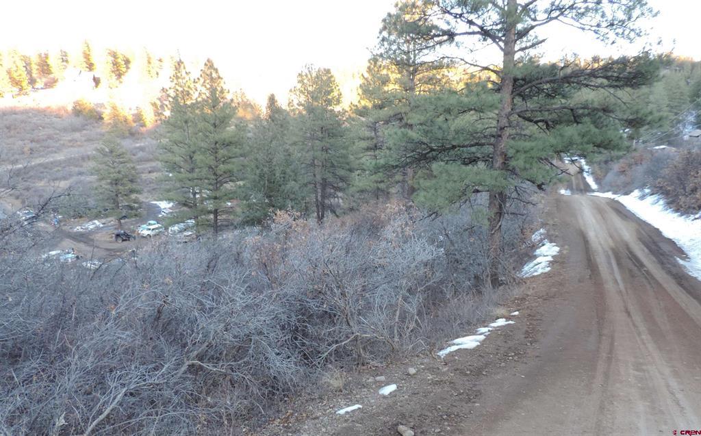 222 Pineridge Tr. - Photo 4