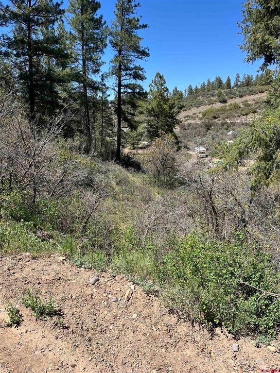222 Pineridge Tr. - Photo 3