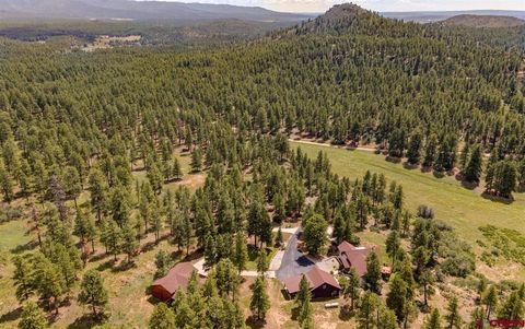 1005 & 46781 Beaver Creek Ranch Rd & US Highway 160 Bayfield CO 81122