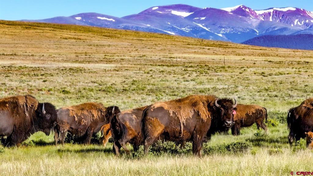 9173 Highway 24 The Preserve Ranch