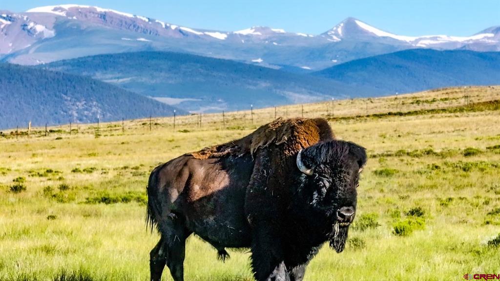 9173 Highway 24 The Preserve Ranch