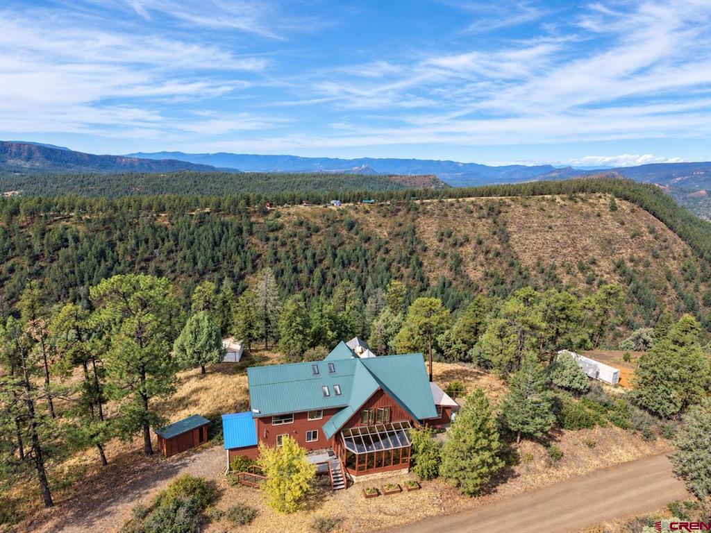 1562 Doc Adams Road - Photo 4