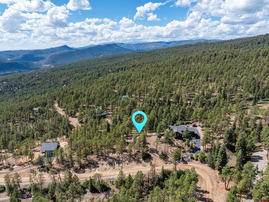 85 PINE RIDGE DR, BAYFIELD, CO 81122 - Image a284d46c33da342e5b6bd43ac7c19bb7/1827129249