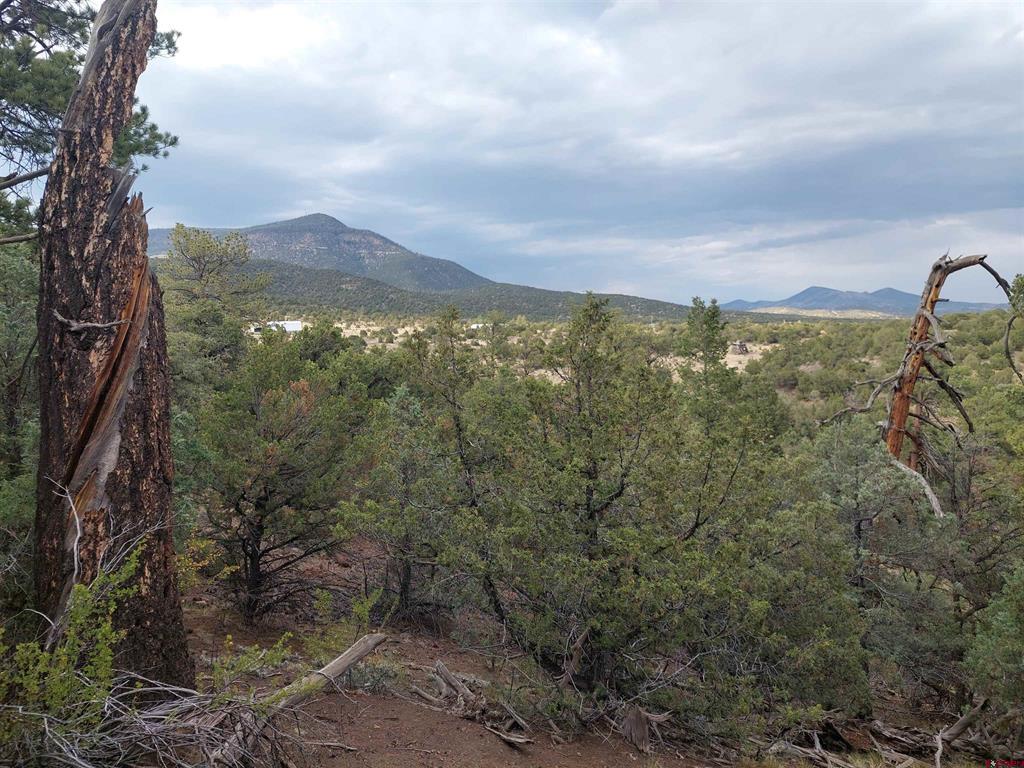 Photo 1 of 10 — 256 Sunrise Road, South Fork, CO 81154
