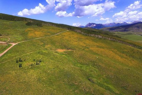 Photo of 901 Red Mountain Road, Almont, CO 81210 (MLS # 833104)