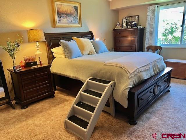 Montrose, Colorado 81401, United States, 2 Bedrooms Bedrooms, ,2 BathroomsBathrooms,Residential,Contingent,57556