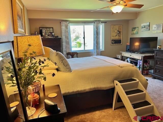 Montrose, Colorado 81401, United States, 2 Bedrooms Bedrooms, ,2 BathroomsBathrooms,Residential,Contingent,57556