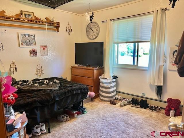 Montrose, Colorado 81401, United States, 2 Bedrooms Bedrooms, ,2 BathroomsBathrooms,Residential,Contingent,57556