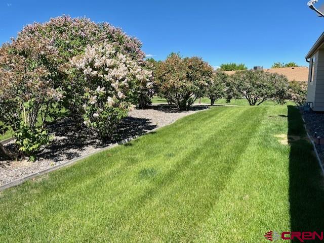 Montrose, Colorado 81401, United States, 2 Bedrooms Bedrooms, ,2 BathroomsBathrooms,Residential,Contingent,57556