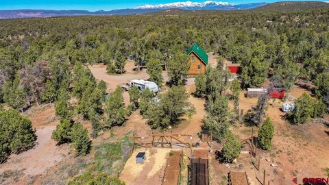 553 Cow Canyon Ignacio CO 81137