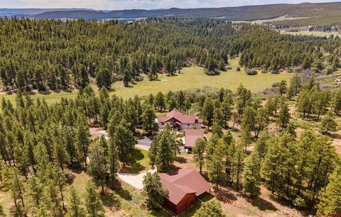1005 Beaver Creek Ranch Drive Bayfield CO 81122