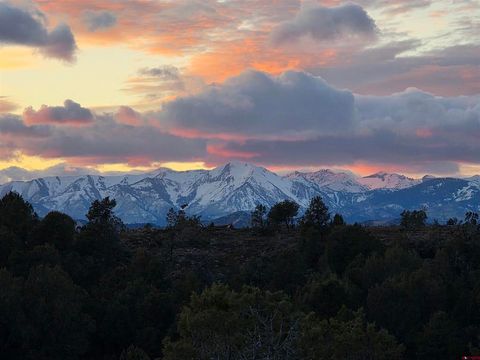 TBD CR 510 Bayfield CO 81137