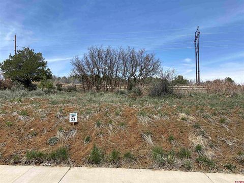 95 Salt Brush Street Durango CO 81301