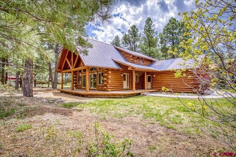 33 Fawn Court Pagosa Springs CO 81147