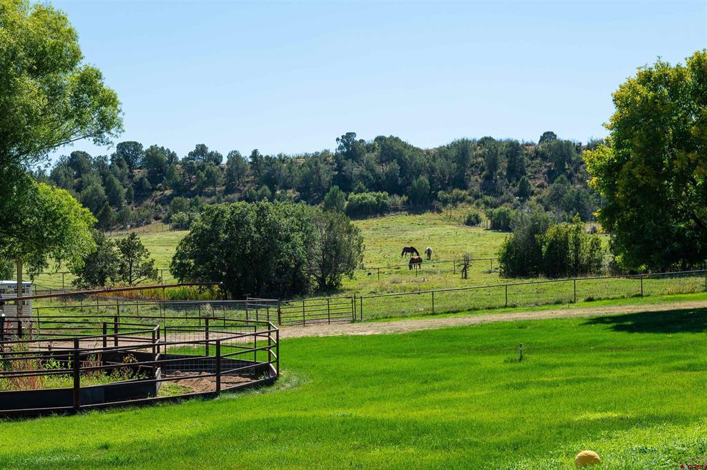 543 Silver Hills Road