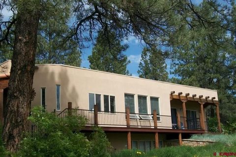 2015 Shenandoah Drive Pagosa Springs CO 81147