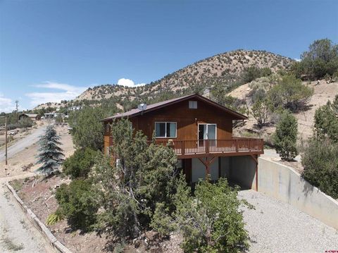 Photo of 270 G Street, Crawford, CO 81415 (MLS # 833544)