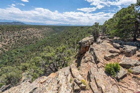 Photo of 277 Cotton Lane, Montrose, CO 81403 (MLS # 816765)