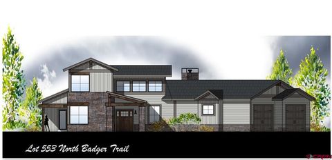 TBD Badger North Trail Ridgway CO 81432