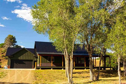 208 Pond Court Pagosa Springs CO 81147