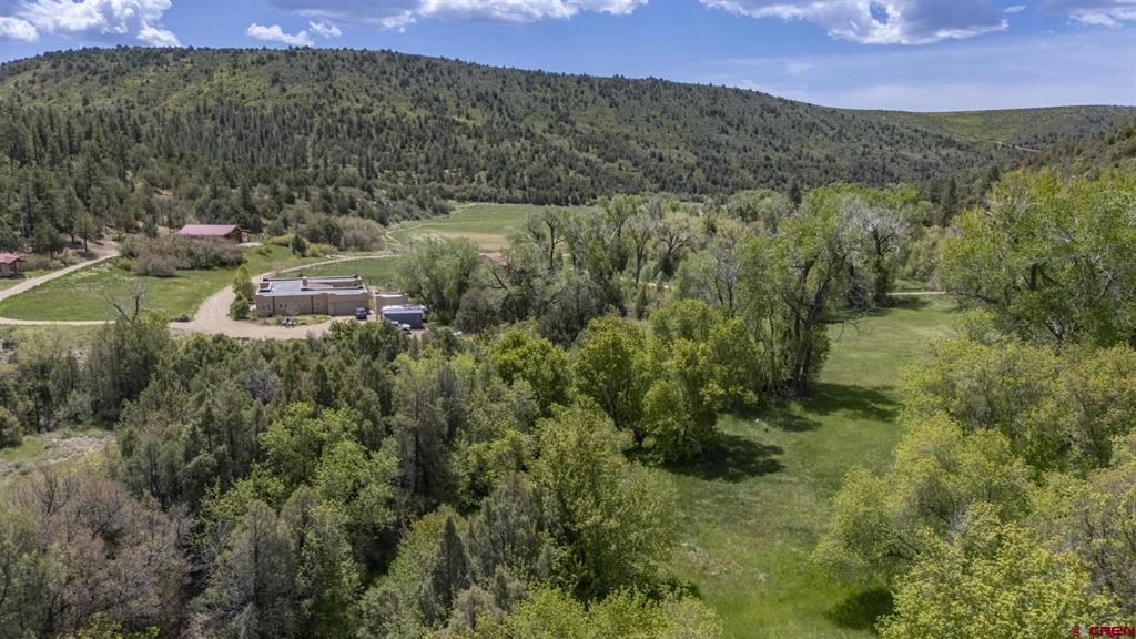 206 Shasta Trail