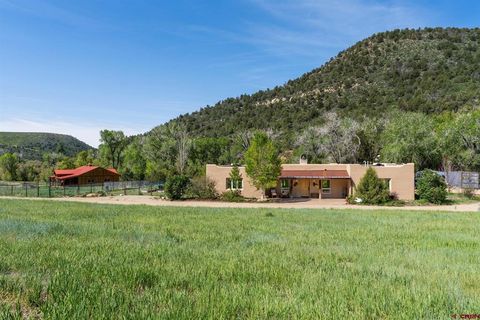 206 Shasta Trail Hesperus CO 81326