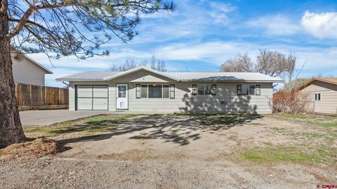 Photo of 535 Labor Street, Delta, CO 81416 (MLS # 832200)