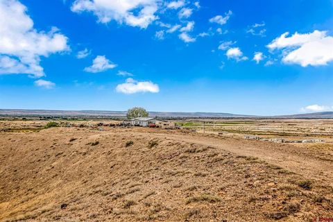 3610 6200 Road Olathe CO 81425