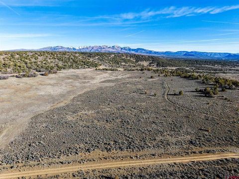 TBDWP County Road 141 Hesperus CO 81326