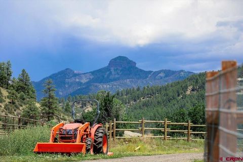 1375 County Road 326 Pagosa Springs CO 81147