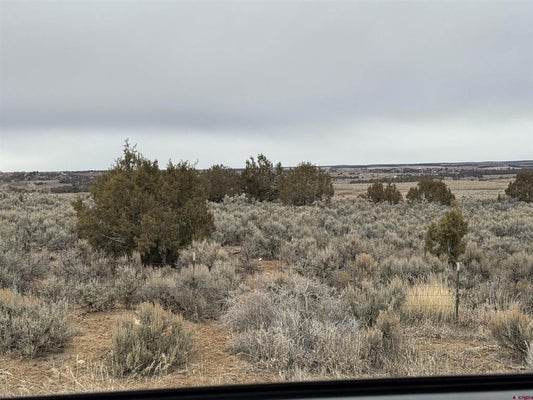 ADDRESS PRIVATE, LEWIS, CO 81327 - Image a7f35d634d8533a1aae3a0d600dcfb7a/2701059705