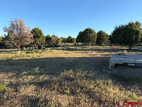Photo of 215 County Road 22A, Montrose, CO 81403 (MLS # 834589)