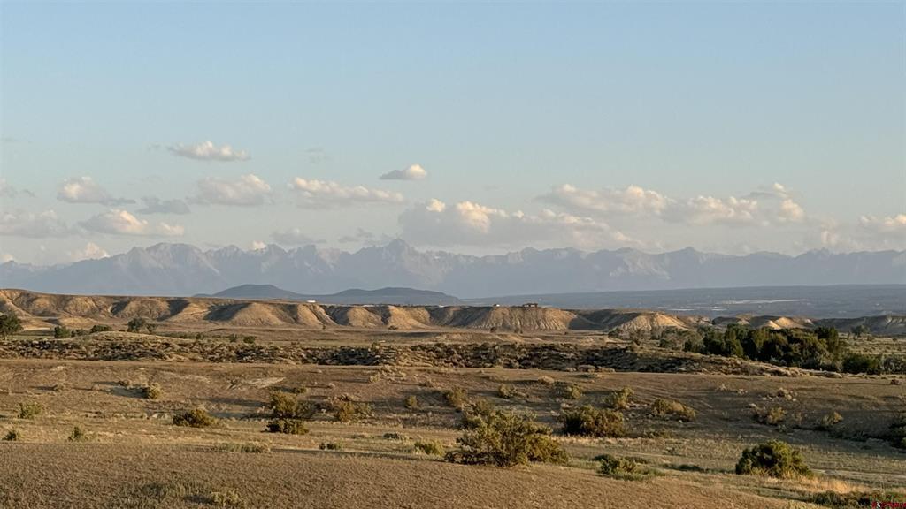 Montrose, Colorado 81401, United States, ,Land,Active,105166