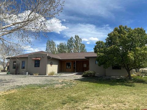 Photo of 5184 6000 Road, Olathe, CO 81425 (MLS # 833989)