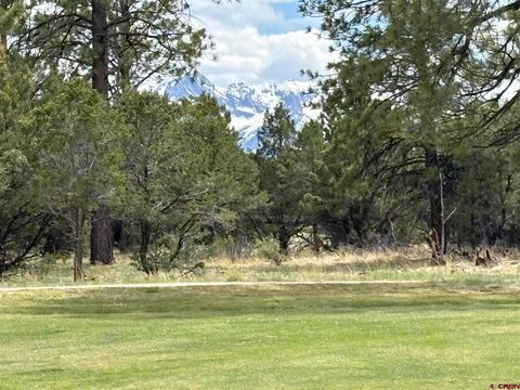 Photo of 1711 Marmot Drive, Ridgway, CO 81432 (MLS # 833500)