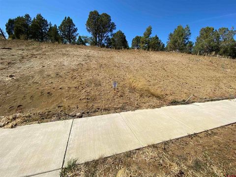 15 Salt Brush Street Durango CO 81301