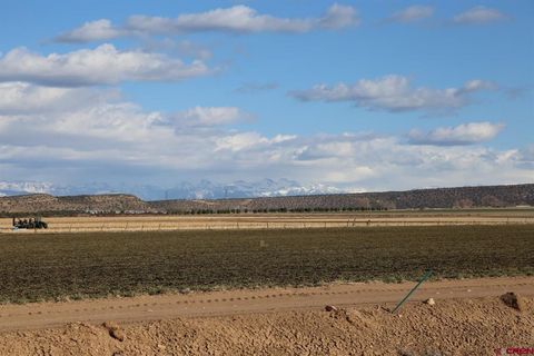 Photo of 1 OLD VALLEY LANE Road, Montrose, CO 81403 (MLS # 831783)