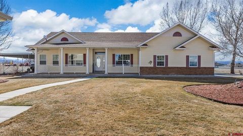 Photo of 67196 Sunnyside Road, Montrose, CO 81401 (MLS # 832181)