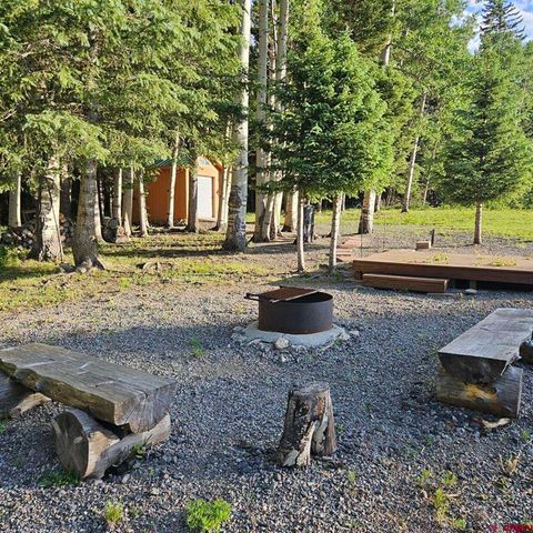 1205 Hazel Lake Drive Cimarron CO 81220