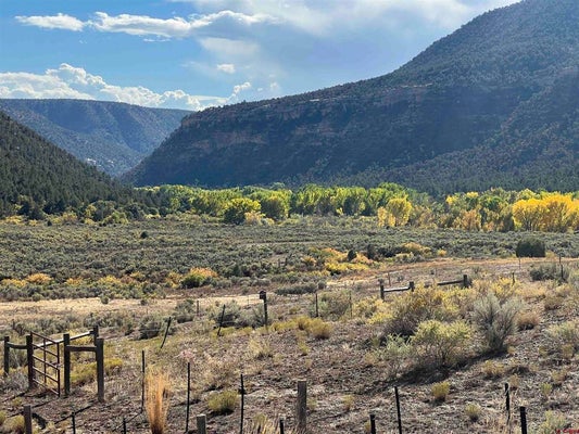 TBD ROAD 41, MANCOS, CO 81328 - Image aa6fc1237faab063fb7a7df355e11a5f/2486673827