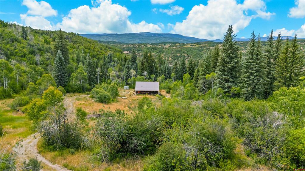 22808 County Road 12