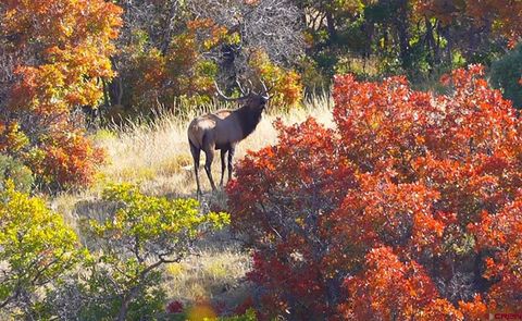 33339 Oak Mesa Road Hotchkiss CO 81419