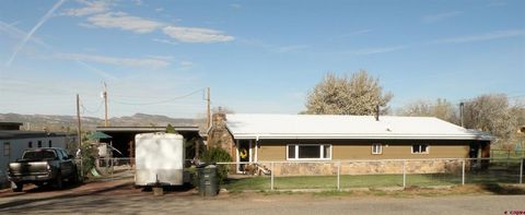 Photo of 810 Grape Street, Nucla, CO 81424 (MLS # 833298)