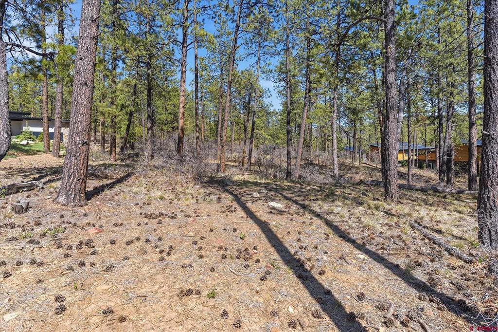 1096 Red Canyon Trail