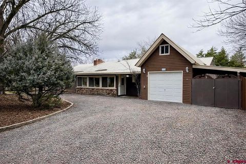 Photo of 110 SE Eagle Avenue, Cedaredge, CO 81413 (MLS # 830783)