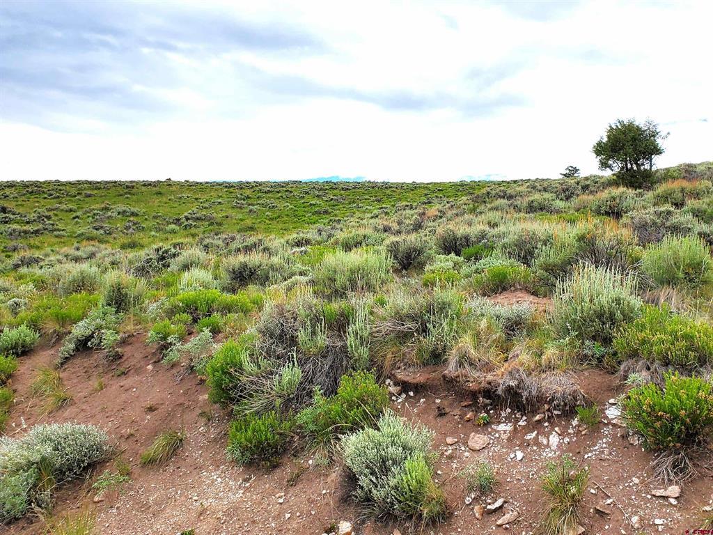 231 Schofield Trail