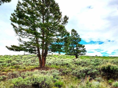 231 Schofield Trail Powderhorn CO 81243