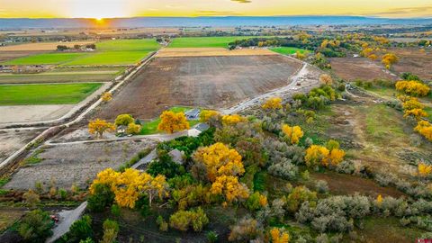 17377 Breeze Road Delta CO 81416